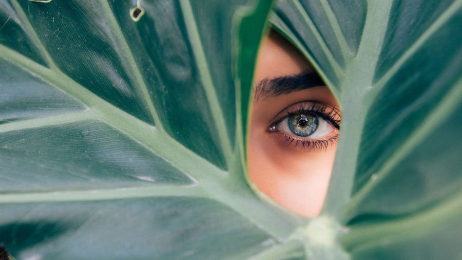 What’s the difference between Spa and Salon?